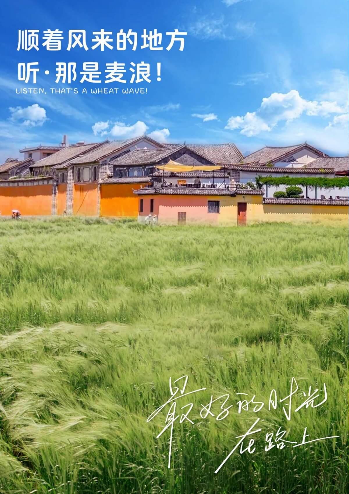 喜洲麥田與風的地方